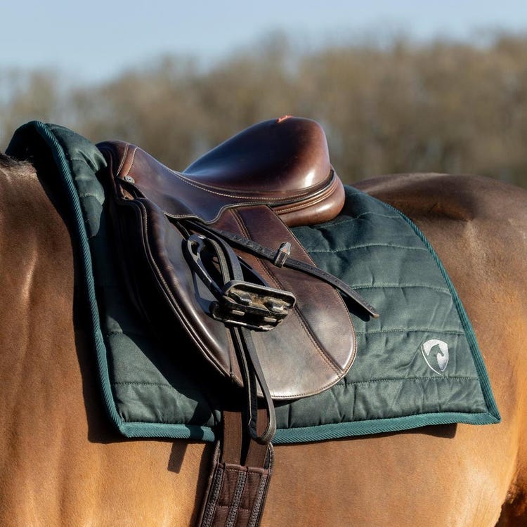 Hy Equestrian Classic Comfort Pad image 5